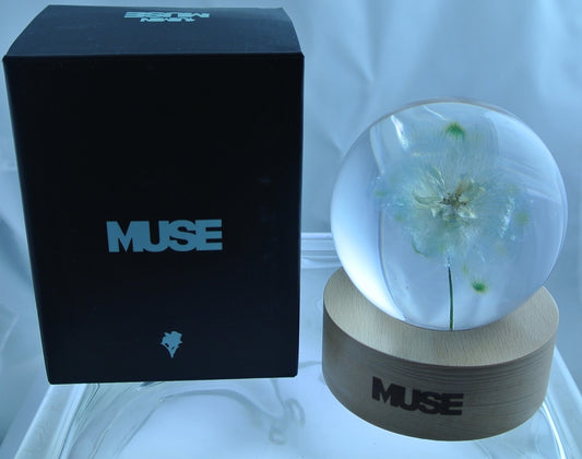 BTS PAPERWEIGHT MUSE PARK JIMIN REAL FLOWER IN ACRYLIC WOOD REST NEW OFFICIAL WEVERSE