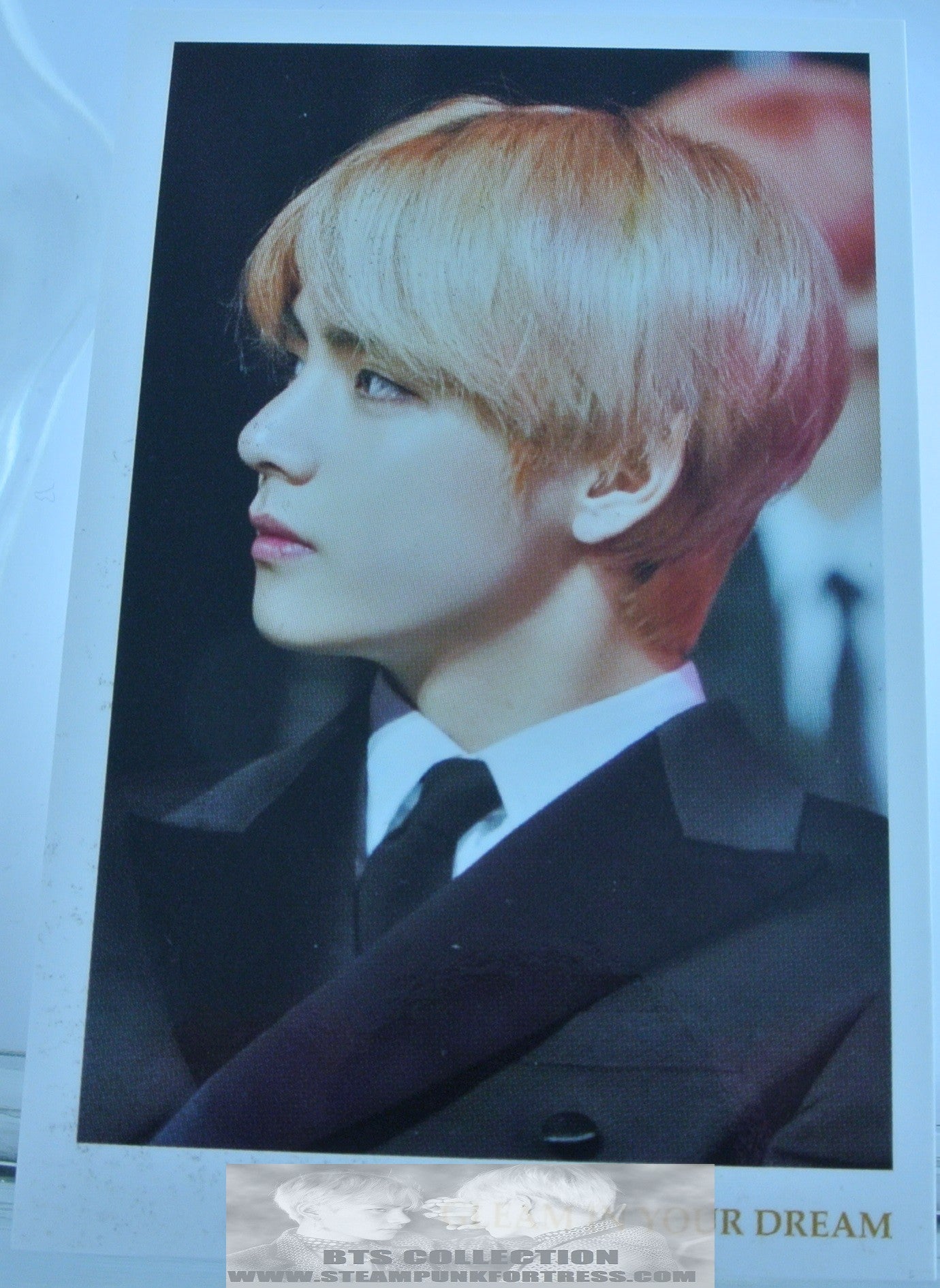 BTS V KIM TAEHYUNG FANSITE PHOTOCARD MOUTH CLOSED PROFILE GLEAM IN YOUR DREAM NUNA V PHOTO CARD