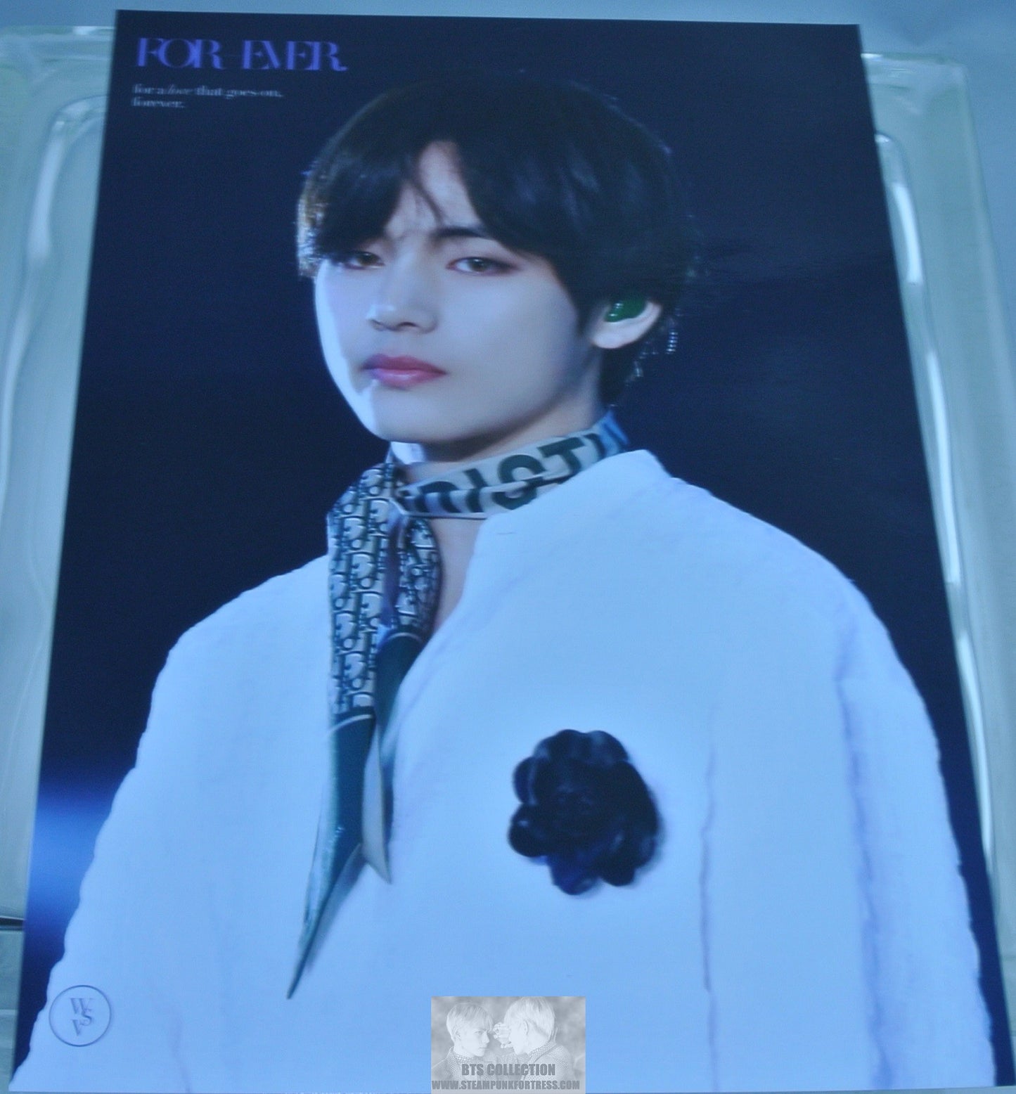 BTS V KIM TAEHYUNG PHOTO WHITE JACKET DIOR SCARF FANSITE WINTER STRAWVERRY