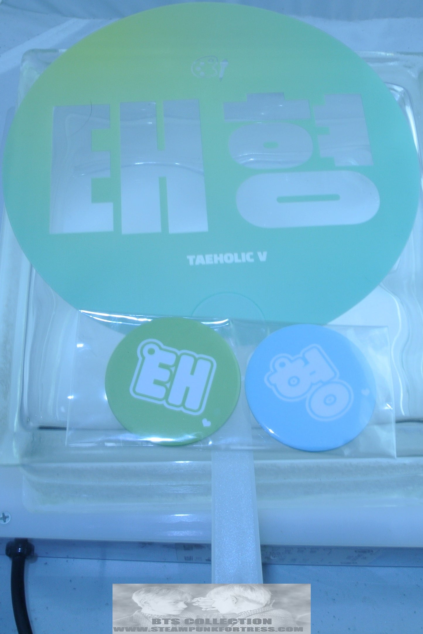 BTS PICKET V KIM TAEHYUNG KOREAN HANGUL SIGN 2 BUTTONS CLEAR GREEN SLOGAN SIGN TAEHOLIC V FANSITE