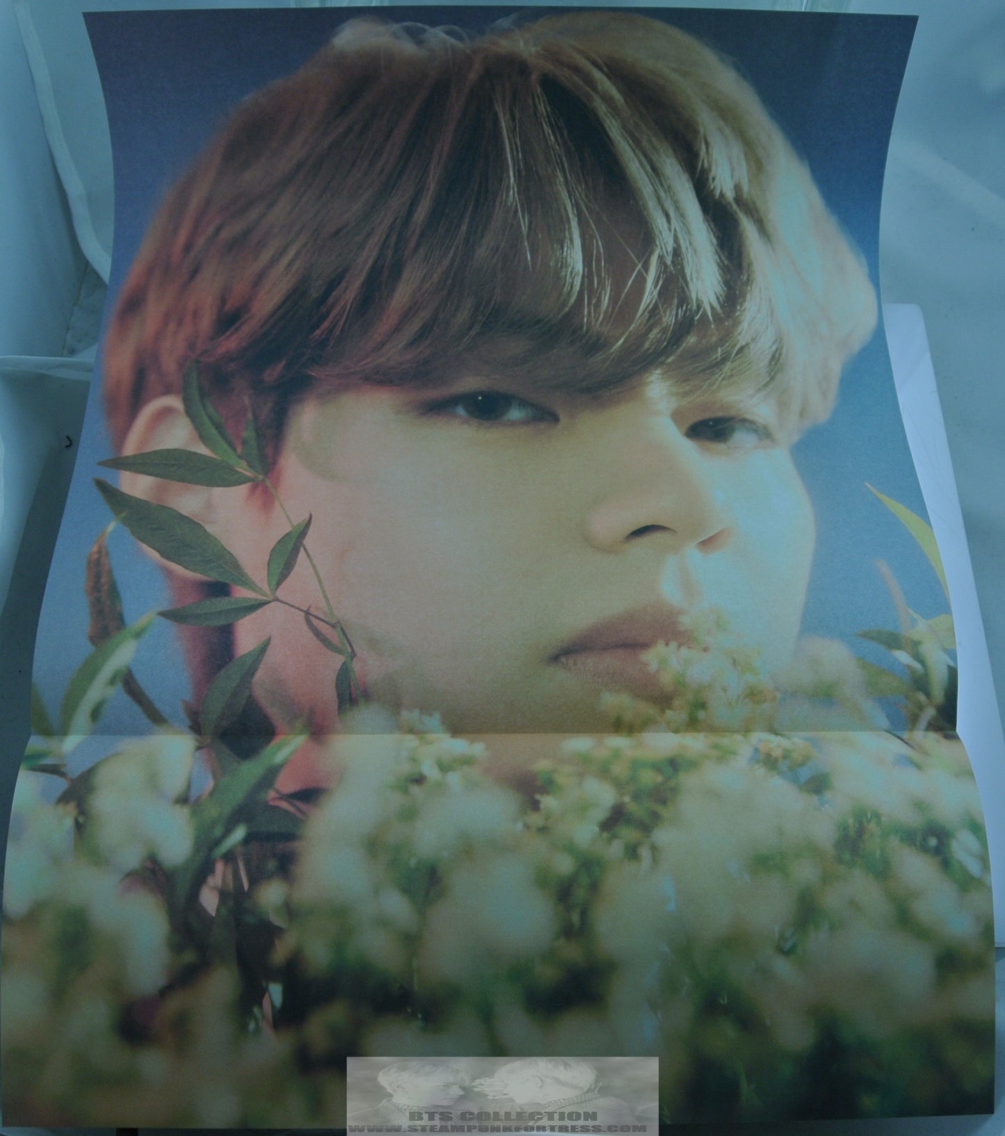 BTS V KIM TAEHYUNG FOLDED POSTER CLOSE COLOR 11.75" X 16.5" HYBE INSIGHT LIMITED EDITION OFFICIAL MERCHANDISE