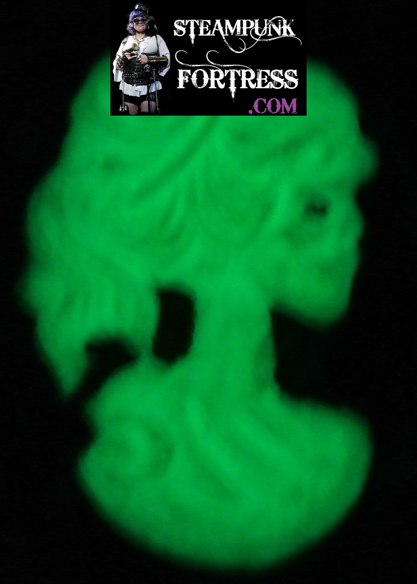 GLOW IN THE DARK PIN BROOCH SILVER CAMEO LADY SKELETON BLACK BACKGROUND NECKLACE HALLOWEEN STARR WILDE STEAMPUNK FORTRESS